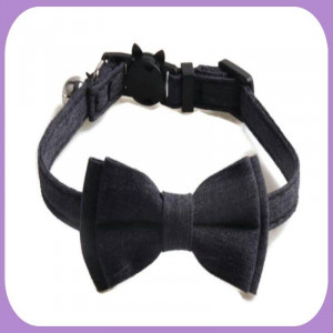 Collar-251